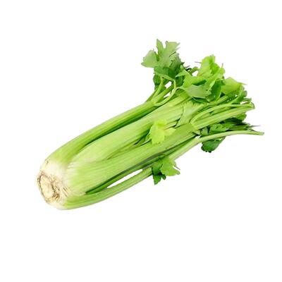 榨汁西芹去叶芹菜现摘大叶芹菜