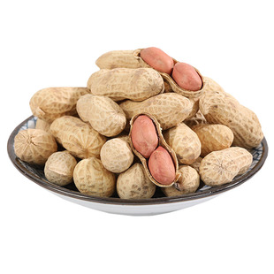 远望山东大花生休闲坚果炒货红皮花生五香南乳花生零食新花生220g