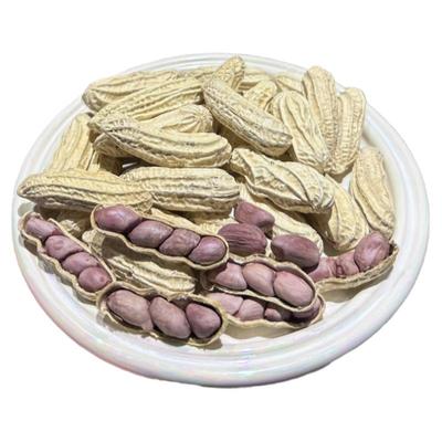 正宗龙岩湿烤花生2024年新货