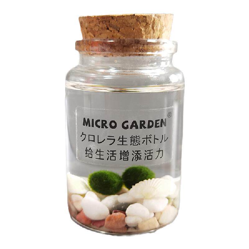 diy马里生态瓶小型水草海藻球