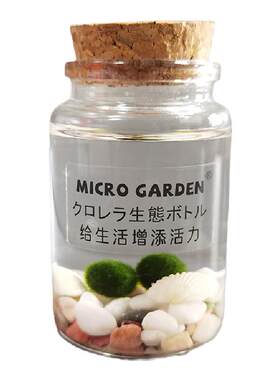 diy马里生态瓶小型水草海藻球