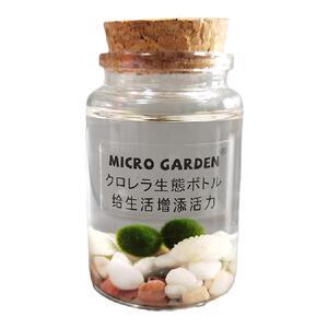 马里莫海藻球marimo生态瓶水培植物 小型迷你苔藓球微景观DIY水草