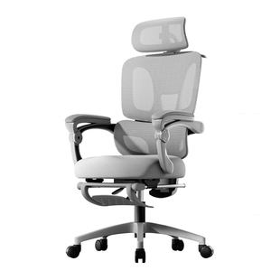 爱果乐家用人体工学椅久坐舒适电竞椅护腰靠背办公椅座椅电脑椅子
