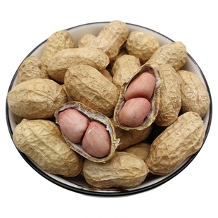 2025年新上市带壳花生新货 河南农家自产新鲜晒干白沙生花生种子