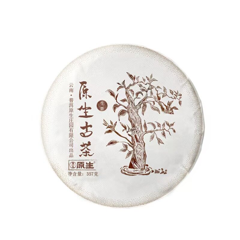 原生有机茶庄云南古茶普洱茶老茶