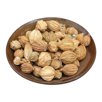 卤菜炖汤火锅去腥调料大全川砂仁