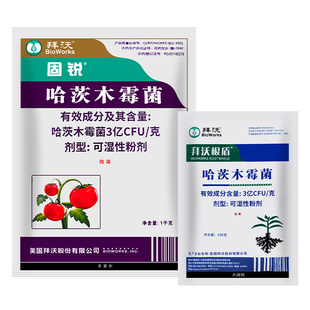 美国拜沃哈茨木霉菌根部型根腐病立枯病灰霉霜霉病杀菌剂100g