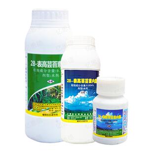 云大120万保28表高芸苔素内脂酯水稻玉米保花保果植物生长调节剂