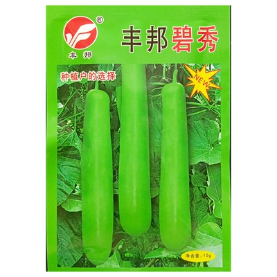 碧秀瓠子种子蒲瓜种籽35厘米