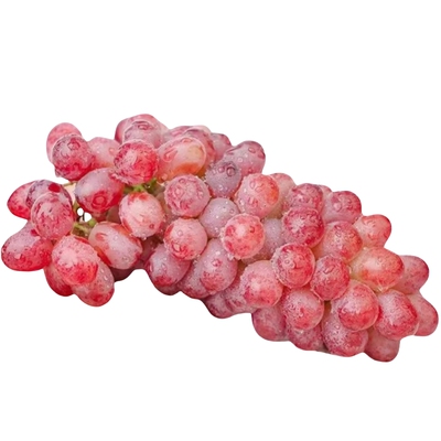 【无籽红提热卖榜TOP.】官方推荐