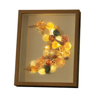 贝壳海螺diy相框摆台小夜灯标本手工制作干花发光画框材料包礼物