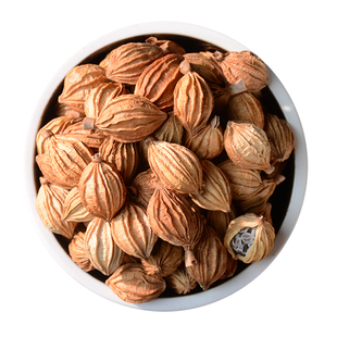 香砂 川砂仁 沙仁金砂仁四川炖肉商用卤菜卤料调料香料大料大全