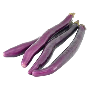 杭茄一六号长茄子种子籽黑紫色紫红线茄春秋季四季盆栽蔬菜种苗孑