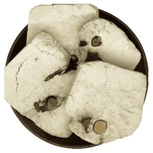 茯神中药材伏神片茯神片茯神木新鲜非野生抱芯含木茯神干货可打粉