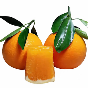 宜昌秭归九月红果冻脐橙现摘现发大果礼盒装橙子