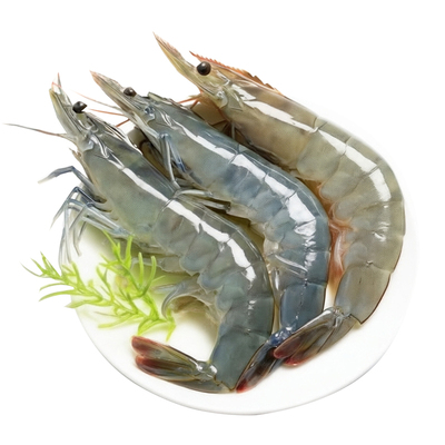 鲜活速冻青岛大虾【顺丰闪送】