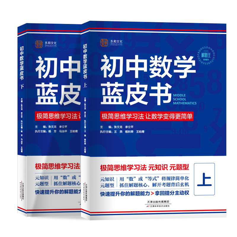 2027版初中数学蓝皮书解题王