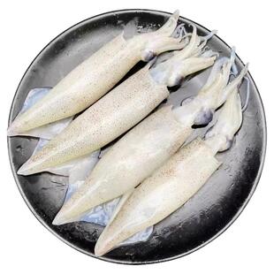 阿根廷鱿鱼整条大鱿鱼船冻原料北朝鱿鱼不水发烧烤铁板商用可白灼