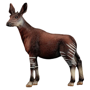 童德仿真动物玩具模型野生公霍加狓欧卡皮鹿奥卡狓儿童认知益智