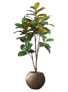 仿真绿植玉兰树盆栽高端轻