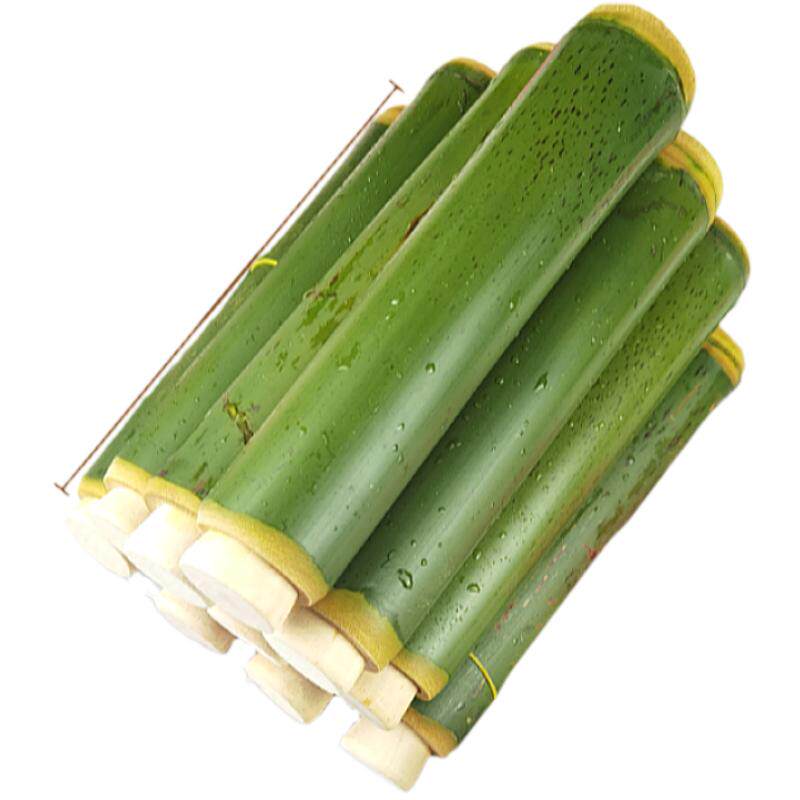 端午节新鲜竹筒粽子模具摆摊创业