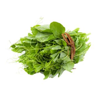 四川农家豌豆尖新鲜无须现摘豌豆种苗蔬菜商用涮火锅食材批发顺丰