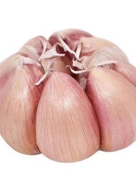 开封杞县当季新蒜可做腊八蒜