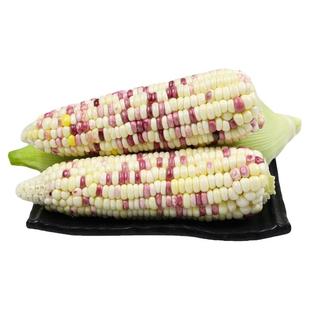 广西现摘新鲜花糯玉米第一名农家软甜玉米蔬菜生鲜包谷苞谷糯米