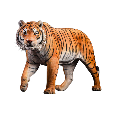 【JXK官方店】1/6孟加拉老虎模型