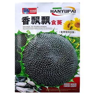 香飘飘食葵20g大瓜子种子孑籽别名向日葵葵花向阳花望日葵朝阳花