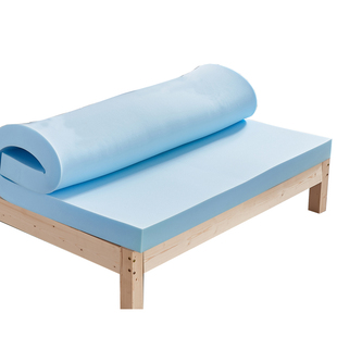 高密度海绵床垫软垫家用租房专用学生宿舍单人垫被榻榻米硬垫定做