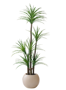 仿真绿植龙血树大型落地盆栽掬涵