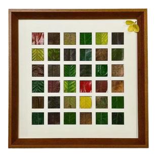24宫格16宫格48宫格36宫格diy落叶相框秋天收集树叶装饰画框