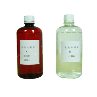 幸运买家蔬菜无土栽培十字花科水培蔬菜叶菜类生菜番茄草莓营养液