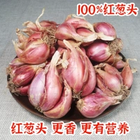 1 фунт шалота (1 упаковка из 50 граммов органических удобрений бесплатно) 90% нового лука