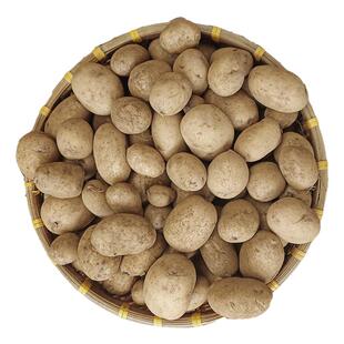 贵州威宁土豆白心秀水憨包洋芋面蔬菜农家马铃薯高山云薯104