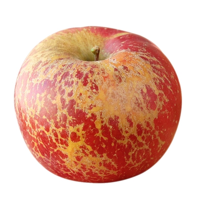 【产地直发】正宗昭通丑苹果！