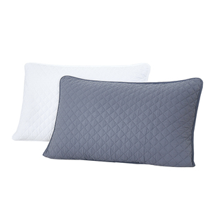 枕头套防头油枕套防口水隔脏保护套纯棉一对装防汗枕芯保护隔离层