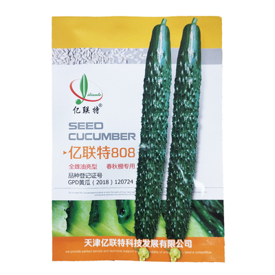 耐寒油亮绿肉黄瓜种子春秋冬季