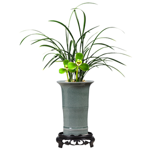 小盆景哥窑透气花盆桌面陶瓷小叶赤楠文竹紫砂盆创意蝴蝶兰绿植盆