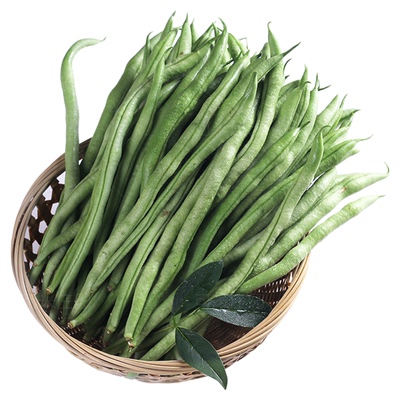 无筋豆可米庄园芸豆角蔬菜四季豆