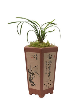刘阁紫砂花盆兰花透气带托盘墨兰