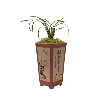 刘阁紫砂花盆兰花透气带托盘墨兰