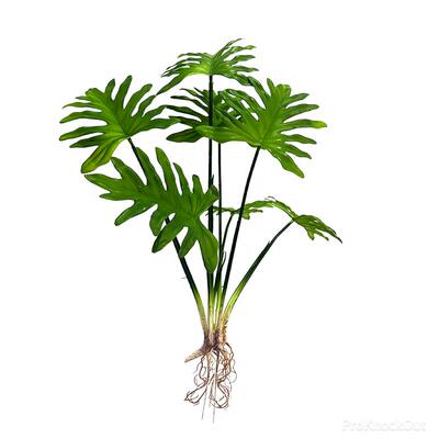 软胶龟背叶北欧仿真花装饰