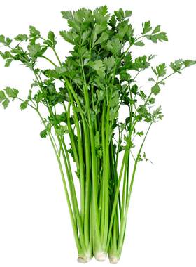 美邻惠享家章丘鲍芹新鲜芹菜