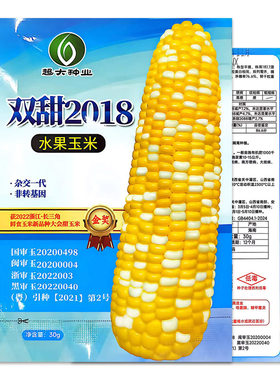双甜2018水果玉米种子生育期短