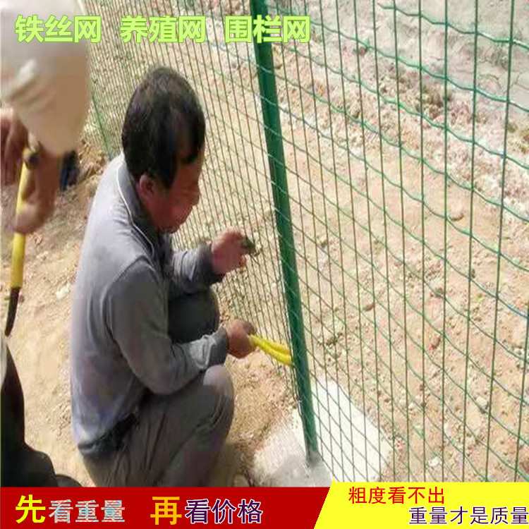 沃达散养鸡网围栏栅圈地护栏焊接网网铁丝网果园荷兰隔离养殖网