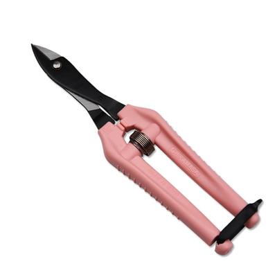 日本进口近正大嘴鸟铁丝竹签