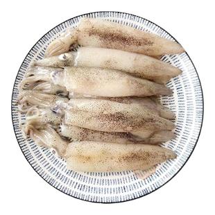 带籽海兔子满籽海兔籽乌新鲜带籽笔管鱼鱿鱼膏鱿鱼冷冻海鲜水产