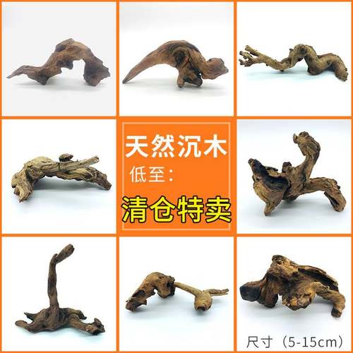鱼缸沉木天然造景水草号大型树桩大小号柚木根紫杜鹃莫斯树枯树根
